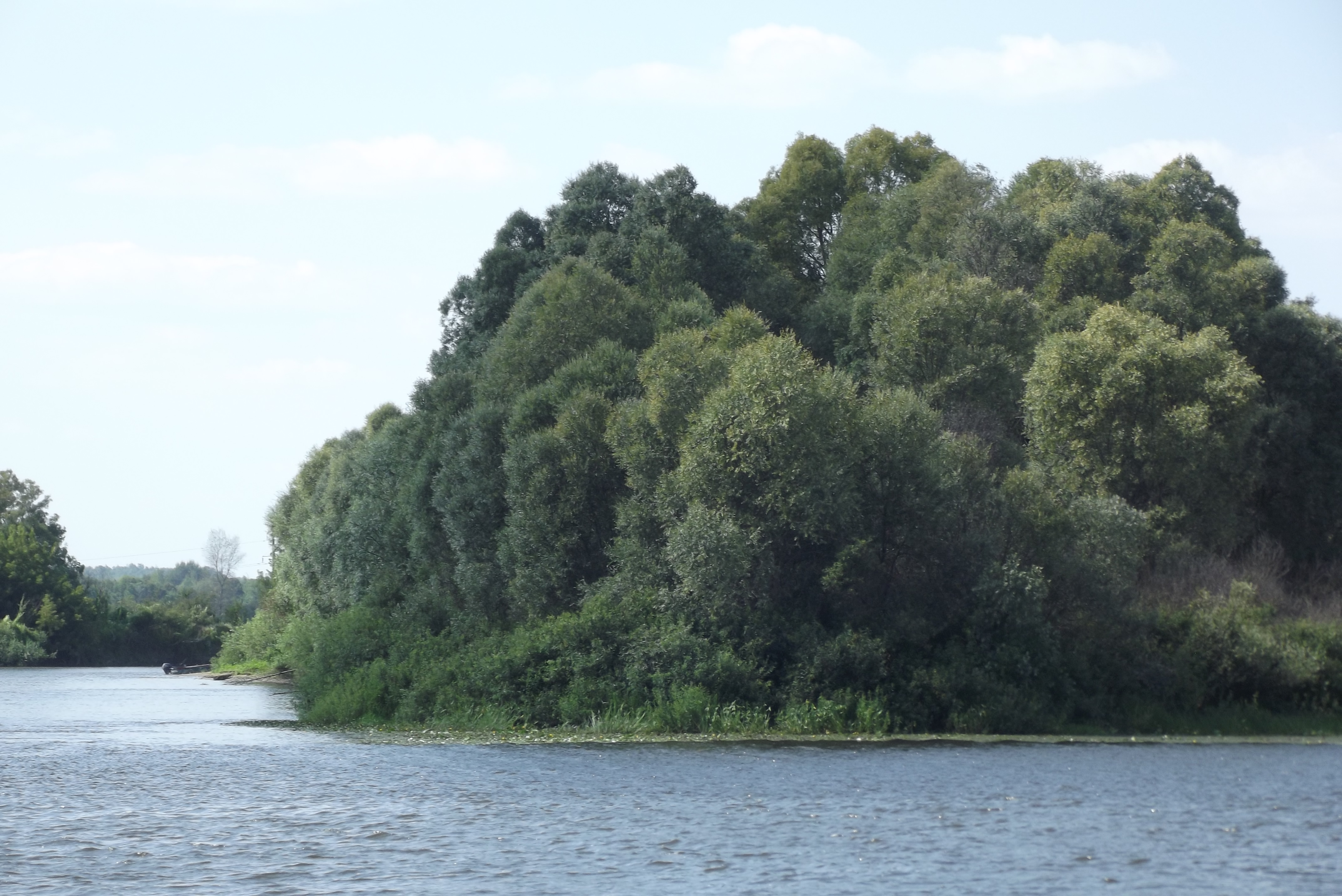 Desna River Floodplain